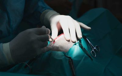 Pyometra