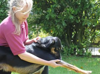 We Offer Veterinary Physiotherapy Services