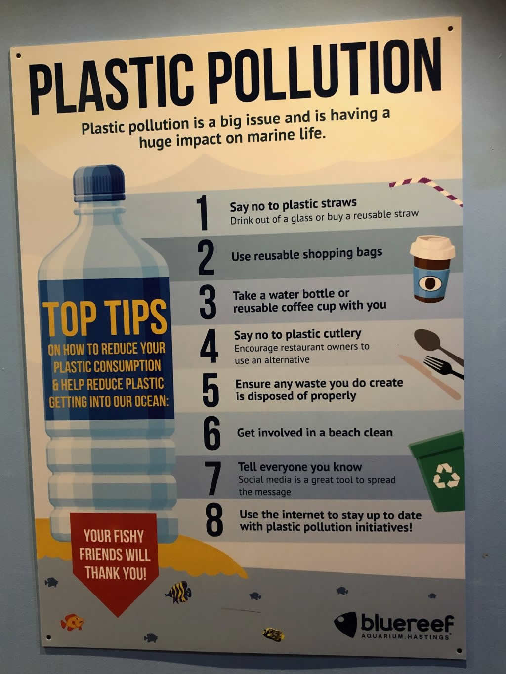 Plastic free advice from Horsebridge Vets